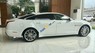 Jaguar XJ  Portfolio V6 3.0L 2017 - Cần bán xe Jaguar XJ Portfolio V6 3.0L sản xuất 2017, màu trắng, nhập khẩu