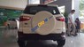 Ford EcoSport   2016 - Bán Ford EcoSport năm 2016, màu trắng, nhập khẩu nguyên chiếc 