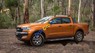 Ford Ranger   Wildtrak 3.2L AT 4X4   2017 - Bán ô tô Ford Ranger Wildtrak 3.2L AT 4X4 sản xuất 2017, nhập khẩu, 890 triệu