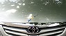 Toyota Innova G 2008 - Cần bán gấp Toyota Innova G sản xuất năm 2008, màu bạc