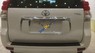 Toyota Prado TXL 2010 - Cần bán gấp Toyota Prado TXL sản xuất 2010, màu trắng, xe nhập