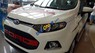 Ford EcoSport 2016 - Bán ô tô Ford EcoSport năm sản xuất 2016, màu trắng  
