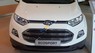 Ford EcoSport 1.5L Titanium 2017 - Bán xe Ford EcoSport 1.5L Titanium năm sản xuất 2017, màu trắng, 585tr