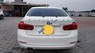 BMW 3 Series 320i 2015 - Bán BMW 3 Series 320i sản xuất 2015, màu trắng, nhập khẩu nguyên chiếc