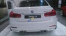 BMW M3 2017 - Cần bán xe BMW M3 năm 2017, màu trắng, xe nhập