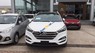 Hyundai Tucson 2.0AT 2017 - Bán ô tô Hyundai Tucson 2.0AT sản xuất 2017, màu trắng, nhập khẩu