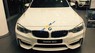 BMW M3 2017 - Cần bán BMW M3 sản xuất 2017, màu trắng, nhập khẩu nguyên chiếc