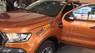 Ford Ranger   Wildtrak  2017 - Bán Ford Ranger Wildtrak năm sản xuất 2017, giá tốt