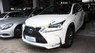 Lexus NX 300h 2014 - Cần bán lại xe Lexus NX 300h năm sản xuất 2014, màu trắng, nhập khẩu