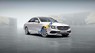 Mercedes-Benz E300 2016 - Bán ô tô Mercedes E300 sản xuất 2016, màu trắng