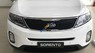 Kia Sorento GAT 2017 - Bán ô tô Kia Sorento GAT sản xuất 2017, màu trắng, giá chỉ 782 triệu