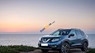 Nissan X trail 2WD 2.0 CVT 2017 - Bán ô tô Nissan X trail 2WD 2.0 CVT sản xuất 2017, màu xanh lam giá cạnh tranh