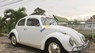 Volkswagen Beetle 1990 - Cần bán Volkswagen Beetle sản xuất năm 1990, màu trắng, nhập khẩu 