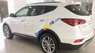 Hyundai Santa Fe  4WD  2017 - Bán Hyundai Santa Fe 4WD đời 2017, màu trắng, giá tốt