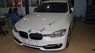 BMW 3 Series 320i 2014 - Bán xe BMW 3 Series 320i năm 2014, màu trắng, nhập khẩu nguyên chiếc