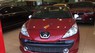 Peugeot 207 CC 1.6 2008 - Bán ô tô Peugeot 207 cc 1.6 đời 2008, xe tên cá nhân chạy đúng vạn rưỡi