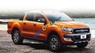 Ford Ranger  Wildtrak 2.2l At 4x4 2017 - Bán Ford Ranger Wildtrak 2.2l At 4x4 năm sản xuất 2017, nhập khẩu, 800tr