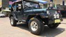 Jeep Wrangler MT 1995 - Bán xe Jeep Wrangler MT năm sản xuất 1995, màu xanh lam, xe nhập  