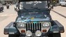 Jeep Wrangler MT 1995 - Bán xe Jeep Wrangler MT năm sản xuất 1995, màu xanh lam, xe nhập  