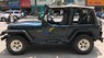 Jeep Wrangler MT 1995 - Bán xe Jeep Wrangler MT năm sản xuất 1995, màu xanh lam, xe nhập  