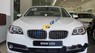 BMW 5 Series 520i Lci 2014 - Cần bán gấp BMW 5 Series 520i Lci sản xuất năm 2014, màu trắng, nhập khẩu