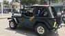 Jeep Wrangler 1995 - Bán xe Jeep Wrangler đời 1995, xe nhập mới 100% có hải quan, ngay chủ