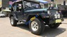 Jeep Wrangler 1995 - Bán xe Jeep Wrangler đời 1995, xe nhập mới 100% có hải quan, ngay chủ