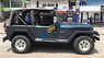 Jeep Wrangler 1995 - Bán xe Jeep Wrangler đời 1995, xe nhập mới 100% có hải quan, ngay chủ