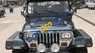 Jeep Wrangler 1995 - Bán xe Jeep Wrangler đời 1995, xe nhập mới 100% có hải quan, ngay chủ