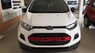 Ford EcoSport Titanium AT 2017 - Ford Ecosport 2017- nhiều ưu đãi trong tháng