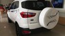 Ford EcoSport Titanium AT 2017 - Ford Ecosport 2017- nhiều ưu đãi trong tháng