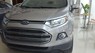 Ford EcoSport Titanium 2017 - Bán xe Ford EcoSport Titanium sản xuất 2017, màu xám giá cạnh tranh