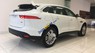 Jaguar F Type  3.0 V6 2017 - Cần bán Jaguar F Type 3.0 V6 sản xuất 2017, màu trắng, xe nhập