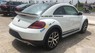 Volkswagen Beetle 2017 - Bán Volkswagen Beetle sản xuất 2017, màu trắng, xe nhập 