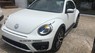 Volkswagen Beetle 2017 - Bán Volkswagen Beetle sản xuất 2017, màu trắng, xe nhập 