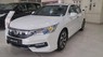 Honda Accord 2.4L 2017 - Cần bán Honda Accord 2.4L năm 2017, màu trắng, nhập khẩu nguyên chiếc