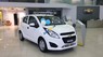 Chevrolet Spark Van 2017 - Cần bán xe Chevrolet Spark Van sản xuất năm 2017, màu trắng