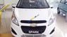 Chevrolet Spark Van 2017 - Cần bán xe Chevrolet Spark Van sản xuất năm 2017, màu trắng