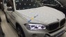 BMW X6 xDrive35i  2016 - Bán BMW X6 xDrive35i sản xuất năm 2016, màu trắng, nhập khẩu 