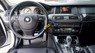 BMW 5 Series 520i 2014 - Bán BMW 5 Series 520i sản xuất năm 2014, màu trắng, nhập khẩu nguyên chiếc