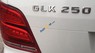 Mercedes-Benz GLK Class GLK 250 2013 - Bán xe Mercedes GLK 250 đời 2013, xe một chủ sử dụng như mới cứng