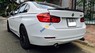 BMW 3 Series 320i 2013 - Xe BMW 3 Series 320i năm sản xuất 2013, màu trắng, nhập khẩu 