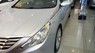 Hyundai Sonata 2.0 AT 2010 - Cần bán xe Hyundai Sonata 2.0 AT năm sản xuất 2010, màu bạc, nhập khẩu 