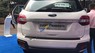 Ford Everest   2.2L 4x4 AT 2017 - Bán ô tô Ford Everest 2.2L 4x4 AT sản xuất 2017, màu trắng, nhập khẩu