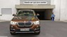 BMW X4 xDrive20i 2016 - Bán BMW X4 xDrive20i đời 2016, màu nâu, nhập khẩu  