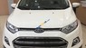Ford EcoSport 1.5 AT Titanium 2017 - Cần bán Ford EcoSport 1.5 AT Titanium năm 2017, màu trắng, nhập khẩu nguyên chiếc