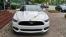 Ford Mustang Ecoboost 2015 - Bán Ford Mustang Ecoboost năm 2015, màu trắng, nhập khẩu nguyên chiếc