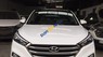 Hyundai Tucson 2.0AT 2016 - Bán Hyundai Tucson đời 2016, xe nhập 