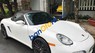 Porsche Boxster 2008 - Bán xe Porsche Boxster năm sản xuất 2008, màu trắng, nhập khẩu  
