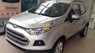 Ford EcoSport 2017 - Bán xe Ford EcoSport sản xuất 2017, màu bạc, giá tốt